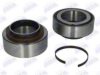 DAF 1428396 Wheel Bearing